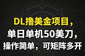 DL撸美金项目，单日单机50美刀，操作简单，可矩阵多开-淘金日记