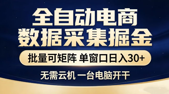 全自动电商数据集掘金,批量可矩阵,单窗口日入30+,无需云机,一台电脑开干【揭秘】