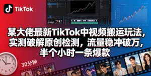 某大佬最新TikTok中视频搬运玩法，实测破解原创检测，流量稳冲破万，半个小时一条爆款-淘金日记