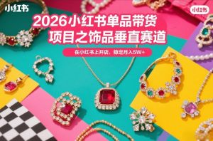 2026小红书单品带货项目之饰品垂直赛道,潮在小红书上开店,稳定月入5W+-淘金日记