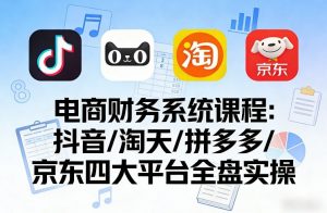电商财务系统课程，覆盖抖音、淘天、拼多多、京东四大主流平台的全盘实操-淘金日记