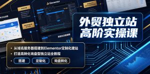外贸独立站高阶实操课|从域名服务器搭建到Elementor定制化建站,打造高转化询盘型独立站全教程-淘金日记