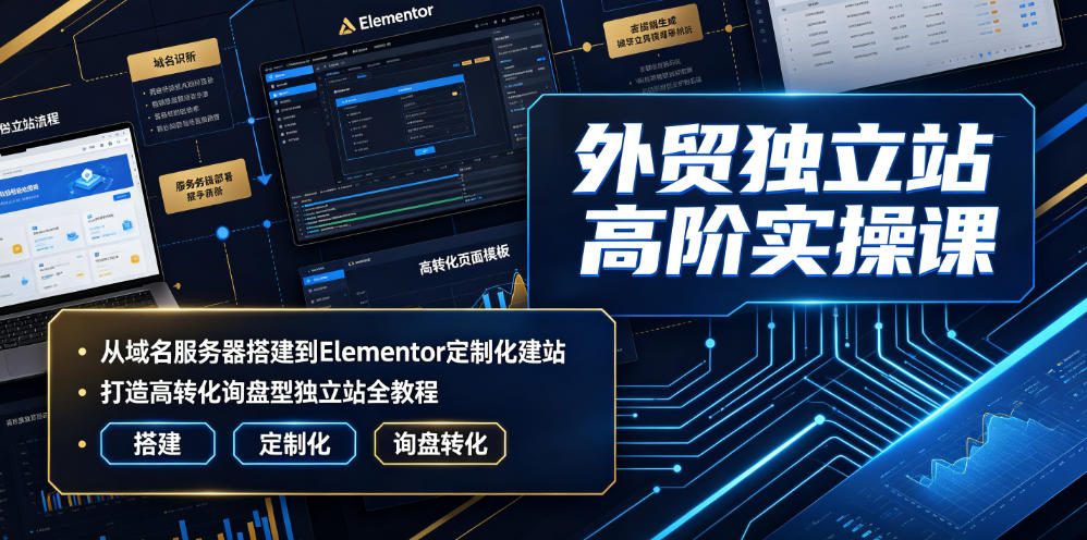 外贸独立站高阶实操课｜从域名服务器搭建到Elementor定制化建站，打造高转化询盘型独立站全教程-淘金日记
