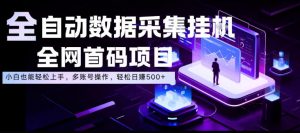 全自动数据采集挂G,全网首码项目,简单易操作,小白也能轻松上手,多账号操作,轻松日入500+【揭秘】-淘金日记