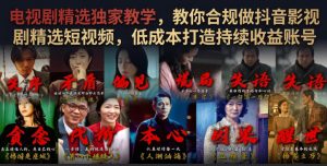 电视剧精选独家教学,教你合规做抖音影视剧精选短视频,低成本打造持续收益账号-淘金日记