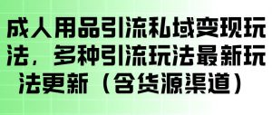 成人用品引流私域变现玩法,多种引流玩法最新玩法,操作简单(含货源渠道)-淘金日记
