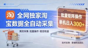 全网独家,淘宝数据全自动采集项目,批量可矩阵,单机轻松日入300【揭秘】-淘金日记