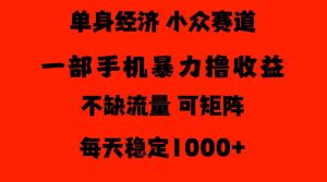 26年暴力单身经济,稳定日入500-1k,不缺流量,流量极大,冷门小众赛道,门槛低小白轻松上手【揭秘】-淘金日记