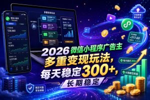2026微信小程序广告主，多重变现玩法，每天稳定300+，长期稳定【揭秘】-淘金日记