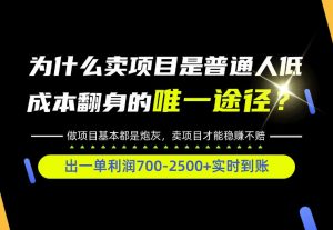 普通人如何靠互联网賺取自己的第一桶金！全类目实操型教学，看完你全都懂了！【揭秘】-淘金日记