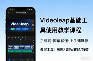 Videoleap基础工具使用教学课程,手机端视频剪辑教学,简单易懂,上手速度快-淘金日记