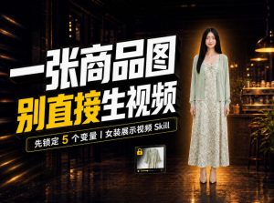 女装AI视频总翻车?问题不在提示词,女装展示视频Skill先锁定5个变量!-淘金日记