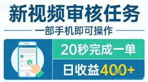 新视频审核任务，一部手机即可操作，20秒完成一单，日收益4张+【揭秘】-淘金日记
