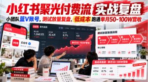 小红书聚光付费流实战复盘|小团队蓝V账号,测试放量复盘,低成本跑通单月50‑100W营收【文档】-淘金日记