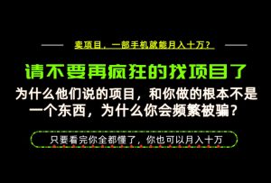 为什么做项目的人大多都是炮灰?为什么只有卖项目才能稳?看完你也可以月入10W+【揭秘】-淘金日记
