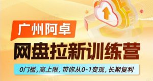 网盘拉新训练营,0门槛,高上限,带你从0-1变现,长期复利-淘金日记