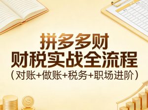 拼多多财税实战全流程（对账+做账+税务+职场进阶）-淘金日记
