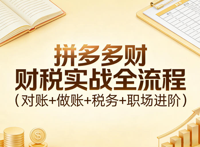 拼多多财税实战全流程（对账+做账+税务+职场进阶）-淘金日记