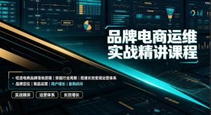 品牌电商运维实战精讲课程｜吃透电商品牌落地逻辑、穿越行业周期、搭建长效变现运营体系-淘金日记