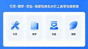 可灵–即梦–豆包–海螺视频去水印工具带视频教程-淘金日记