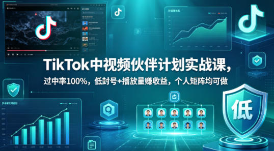TikTok中视频伙伴计划实战课，过中率100%，低封号+播放量賺收益，个人矩阵均可做-淘金日记