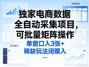独家电商数据全自动采集项目,可批量矩阵操作,单窗口日入3张+,稀缺玩法闭眼入【揭秘】-淘金日记