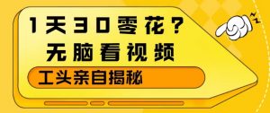 1天30零花?无脑看视频,大佬亲自揭秘-淘金日记