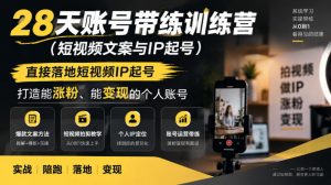 28天账号带练训练营(短视频文案与IP起号),直接落地短视频IP起号,打造能涨粉、能变现的个人账号-淘金日记