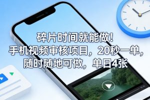 碎片时间就能做！手机视频审核项目，20秒一单，随时随地可做，单日4张+【揭秘】-淘金日记