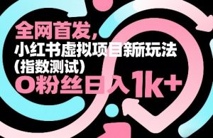 全网首发,小红书虚拟项目新玩法(指数测试),0粉丝日入1k+,整个玩法完整拆解!-淘金日记