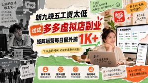 朝九晚五工资太低,试试多多虚拟店副业,矩阵运营每日额外搞1K+【揭秘】-淘金日记