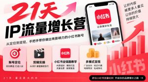 21天IP流量增长营，小红书全链路教学，账号定位剪辑实操，多模式变现系统课-淘金日记