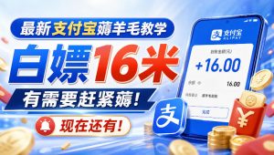 最新支付宝薅羊毛教学,白嫖16米,有需要赶紧薅,现在还有!-淘金日记