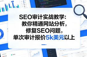 SEO审计实战教学：教你精通网站分析，修复SEO问题，单次审计报价5k美元以上-淘金日记