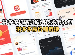 拼多多打爆班原创技术第55期,拼多多高价铺链接-淘金日记