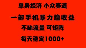 26年暴力单身经济，稳定日入500-1k，不缺流量，流量极大，冷门小众赛道，门槛低小白轻松上手【揭秘】-淘金日记