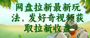 网盘拉新最新玩法,发好奇视频获取拉新收益,抖音收藏家玩法-淘金日记