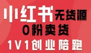 小红书无货源0粉电商课,开店准备、选品策略、笔记撰写、视频剪辑、数据分析、账号打造、资料文档(更新26年3月)-淘金日记