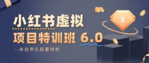 小红书虚拟项目特训课8.0,帮你从0到1打造稳定盈利的店铺,抓住流量红利(更新3月)-淘金日记