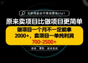 一单利润700-2.5K+,为什么我们要卖项目而不是做项目,我们普通人应该怎样开始?【揭秘】-淘金日记