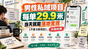 男性私域项目,每单29.9米,当天就能落地变现【不是S粉项目】,详细拆解-淘金日记
