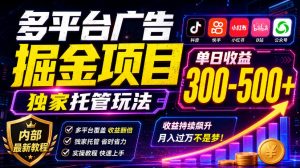多平台广告掘金项目,独家托管玩法,一天300-500+,内部最新教程【揭秘】-淘金日记
