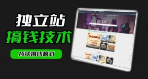 干货来袭！麦子甜带你吃透独立站｜从搭建到引流一站式教学《独立站》第一期-淘金日记