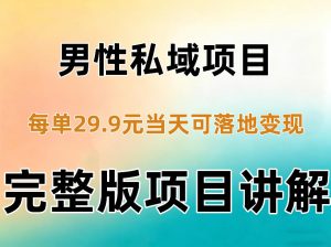 男性私域项目每单29.9,当天就能落地变现【不是S粉项目】详细拆解-淘金日记