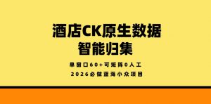 酒店CK原生数据智能归集,单窗口60+可矩阵0人工,2026必做蓝海小众项目【揭秘】-淘金日记
