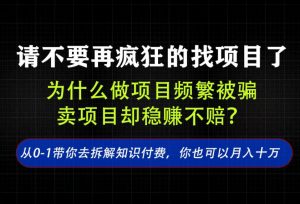 找项目？别傻了！卖项目才是真的一本万利！看完你全都懂了【揭秘】-淘金日记