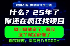26年,请不要疯狂的找项目做了!卖项目才是真的稳賺不赔,看完照做,保底日入1k+【揭秘】-淘金日记