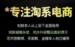 松鼠会电商VIP课程,从基础布局到高阶优化,助你掌握淘宝运营逻辑,提升店铺流量与转化(更新0626)-淘金日记
