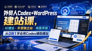 外贸人Codex+WordPress建站课，AI建站·外贸独立站·询盘承接，从0到1学会用Codex辅助建站（更新0810）-淘金日记