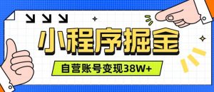 微信小程序掘金,团队自营小程序累计变现38W+,稳定运营三年,一部手机即可操作【揭秘】-淘金日记